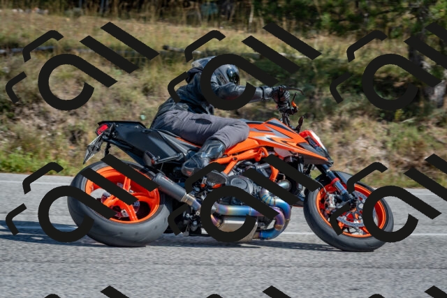 202510191307-DSC_7669_c4_