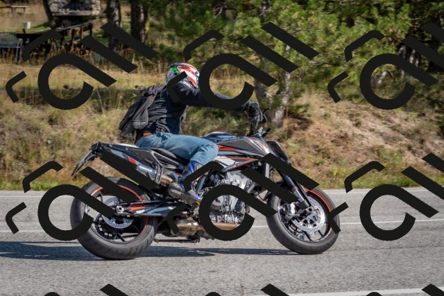 202510191307-DSC_7674_c4_