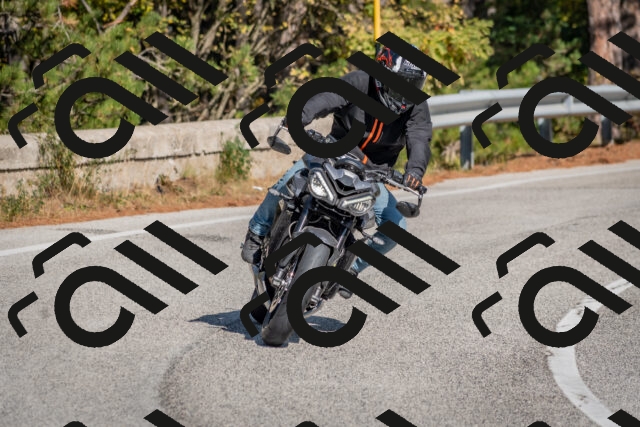 202510191308-DSC_7675_c4_