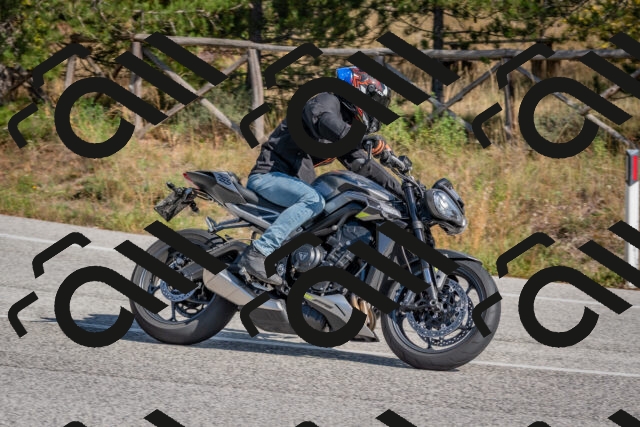 202510191308-DSC_7677_c4_