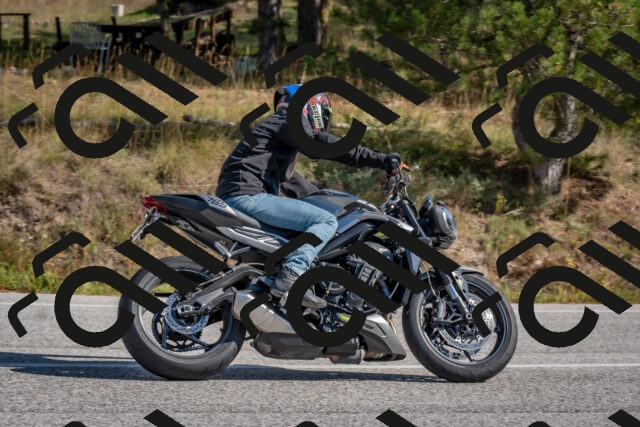 202510191308-DSC_7678_c4_