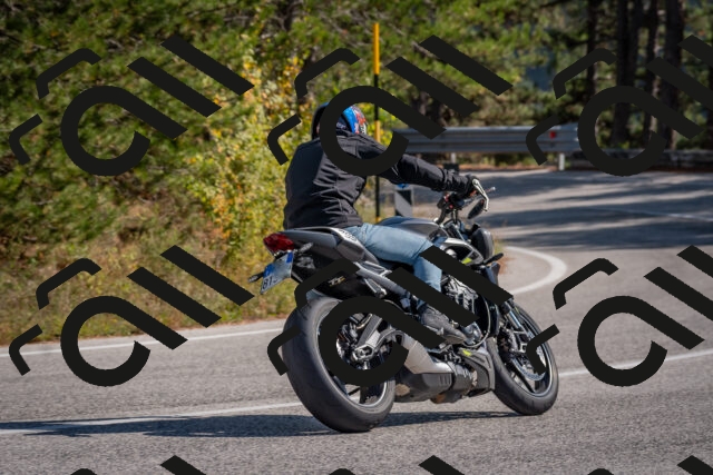 202510191308-DSC_7679_c4_