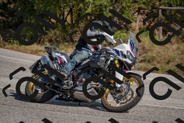 202510191311-DSC_7689_c4_