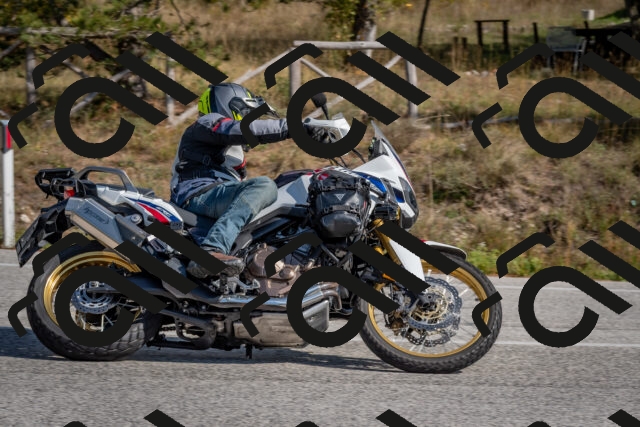 202510191311-DSC_7690_c4_