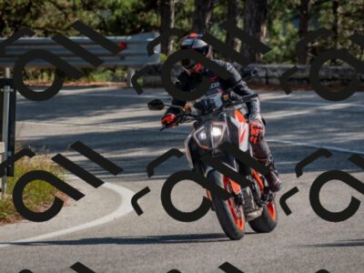 202510191312-DSC_7694_c4_