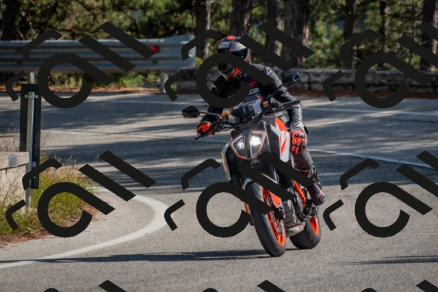 202510191312-DSC_7694_c4_