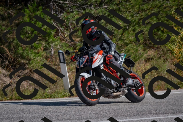 202510191312-DSC_7695_c4_