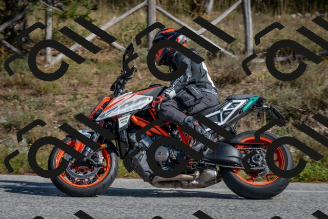 202510191312-DSC_7696_c4_