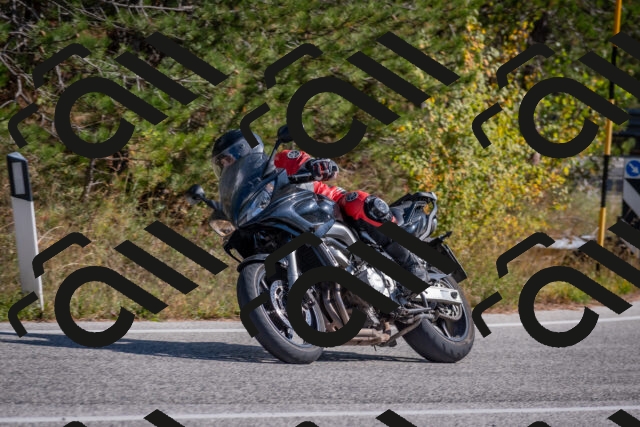 202510191313-DSC_7698_c4_