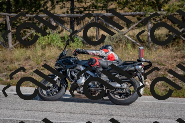 202510191313-DSC_7699_c4_