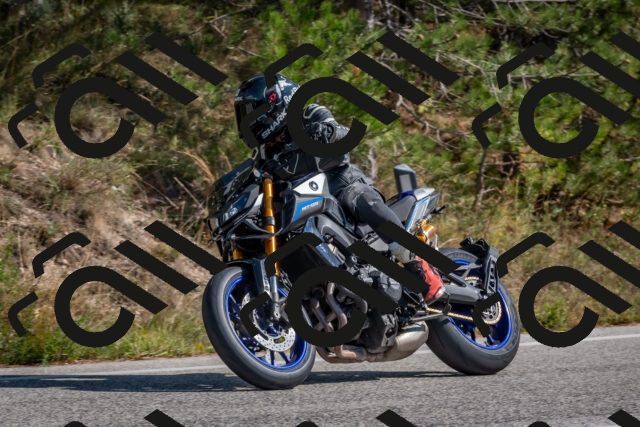 202510191313-DSC_7706_c4_