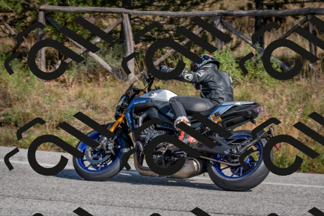 202510191313-DSC_7708_c4_