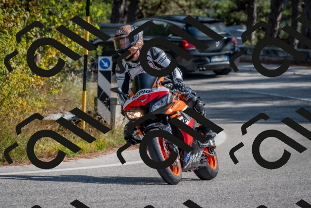 202510191314-DSC_7709_c4_