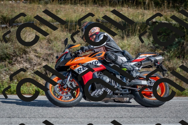 202510191314-DSC_7711_c4_