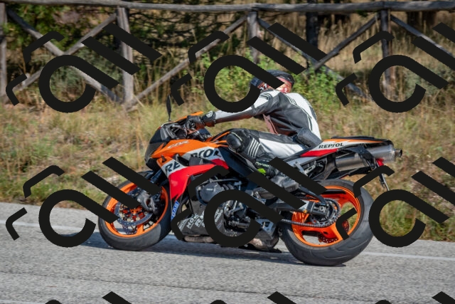 202510191314-DSC_7712_c4_