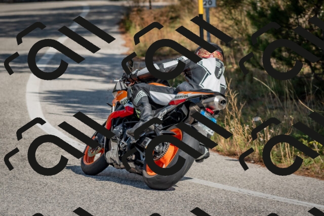 202510191314-DSC_7713_c4_