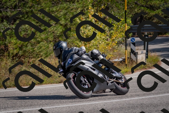 202510191316-DSC_7718_c4_