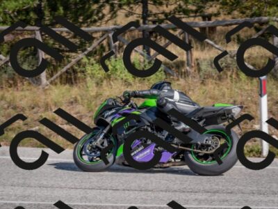 202510191316-DSC_7722_c4_