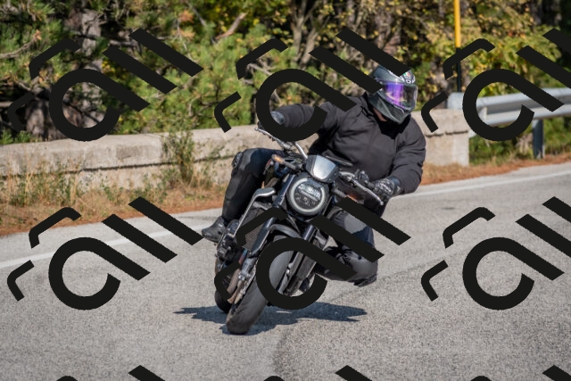 202510191317-DSC_7728_c4_