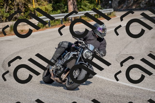 202510191317-DSC_7729_c4_