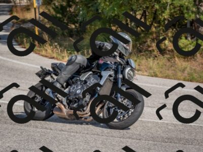 202510191317-DSC_7730_c4_