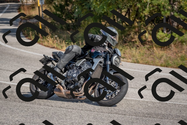 202510191317-DSC_7730_c4_