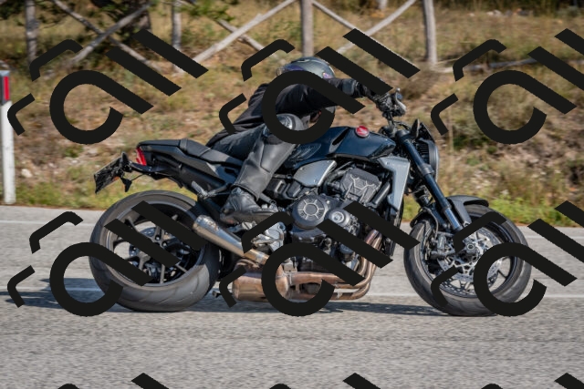 202510191317-DSC_7731_c4_