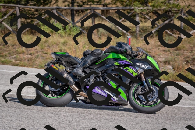 202510191318-DSC_7737_c4_