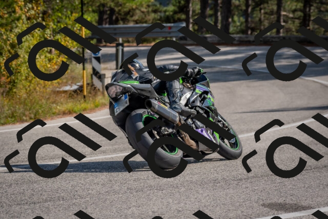 202510191318-DSC_7739_c4_