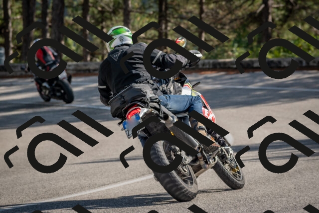 202510191318-DSC_7753_c4_