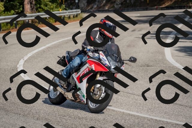 202510191318-DSC_7756_c4_