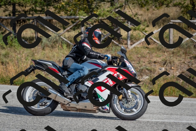 202510191318-DSC_7758_c4_