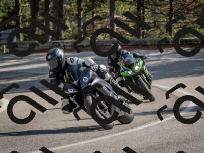 202510191320-DSC_7762_c4_