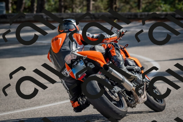 202510191320-DSC_7773_c4_