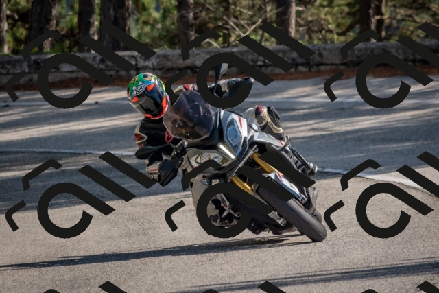 202510191321-DSC_7774_c4_