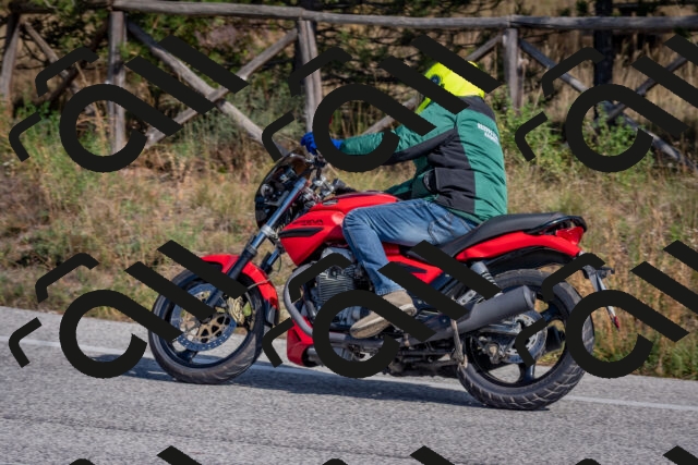 202510191322-DSC_7789_c4_