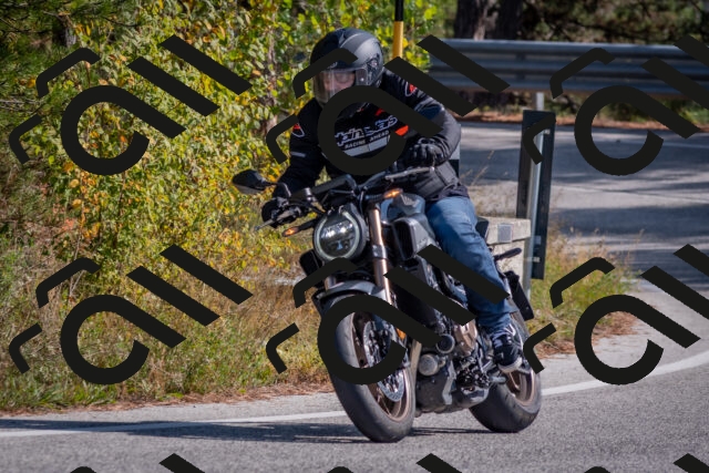 202510191323-DSC_7794_c4_