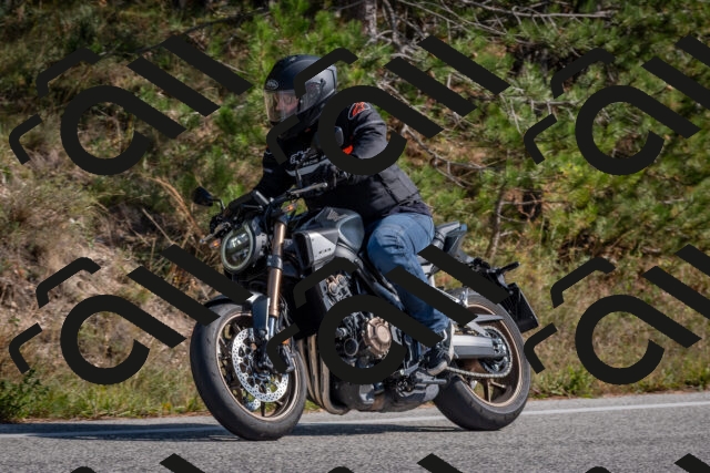 202510191323-DSC_7795_c4_