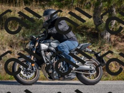 202510191323-DSC_7796_c4_