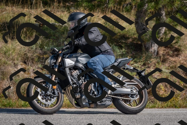 202510191323-DSC_7796_c4_