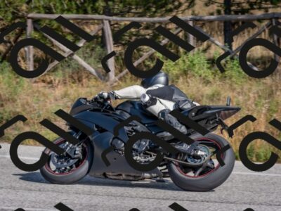 202510191323-DSC_7804_c4_