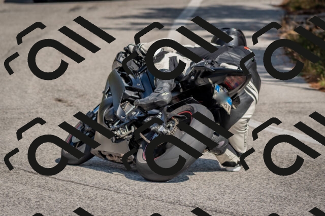 202510191323-DSC_7805_c4_