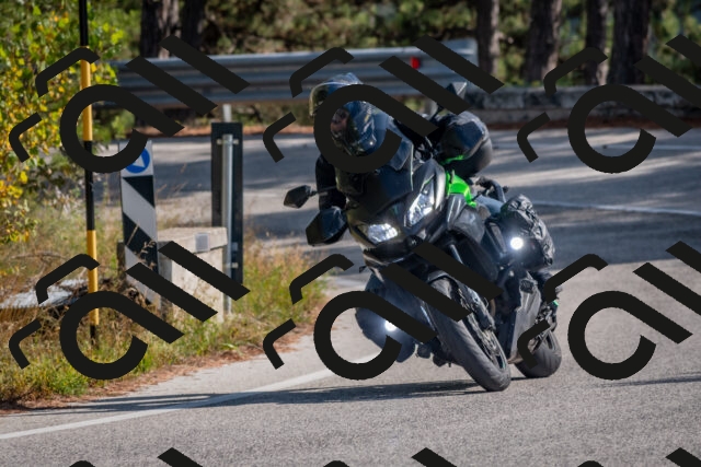 202510191324-DSC_7807_c4_