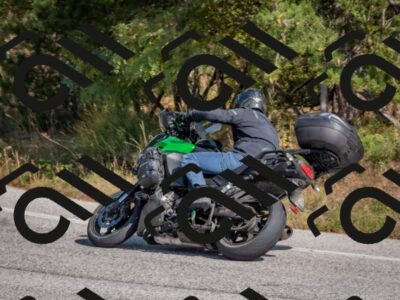 202510191324-DSC_7810_c4_