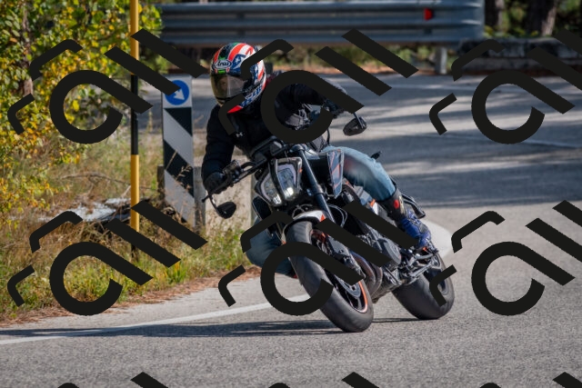 202510191324-DSC_7811_c4_