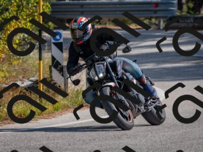 202510191324-DSC_7811_c4_