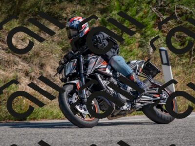 202510191324-DSC_7812_c4_