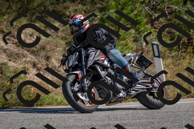 202510191324-DSC_7812_c4_