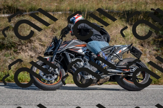 202510191324-DSC_7813_c4_