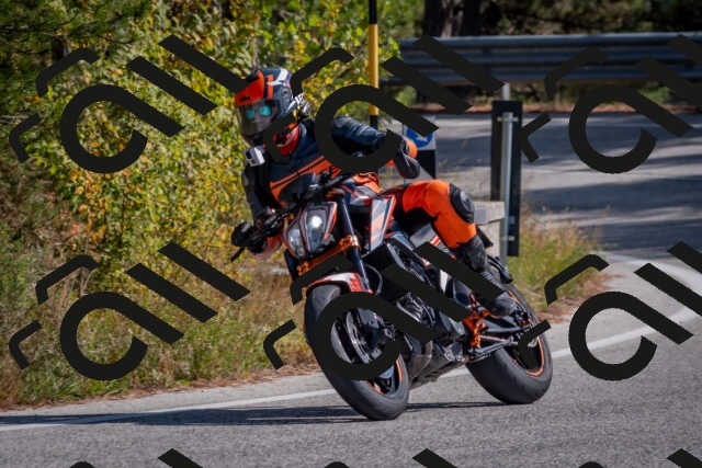 202510191324-DSC_7814_c4_